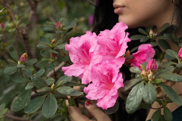 Mooie schoonheid roze lentebloemen