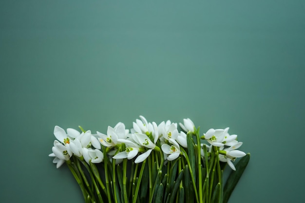 Mooie sneeuwklokjes op groene achtergrond