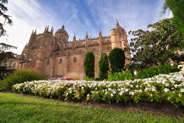 Mooie stad salamanca in castillaleonspain