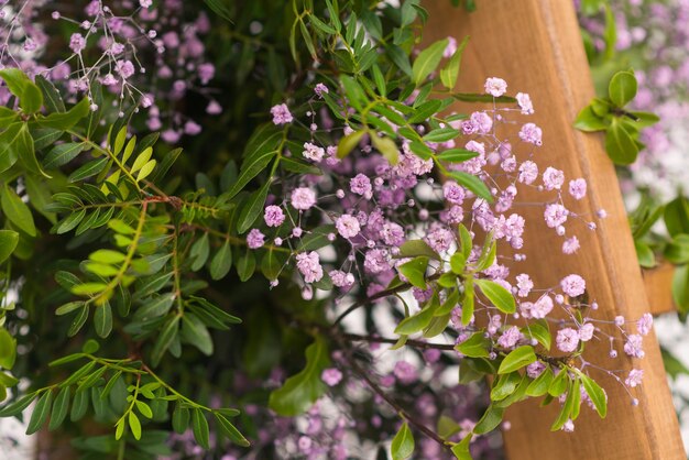 Mooie stap ladder versierd met struiken van bloemen op witte achtergrond