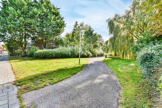 Mooie straat met vers gazon en bomen