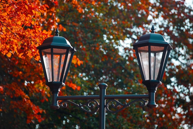 Mooie straatlantaarn in het park in de herfst. Hoge kwaliteit foto