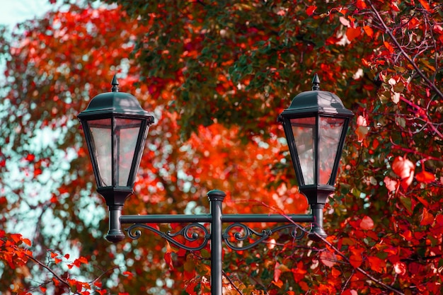 Mooie straatlantaarn in het park in de herfst. Hoge kwaliteit foto