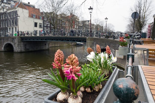 Mooie straten, bruggen en kanalen in de beroemde stad amsterdam, nederland