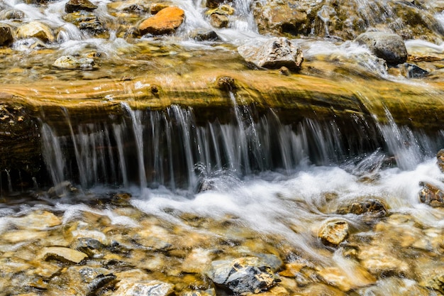 Mooie stromende rivier met stenen in een park