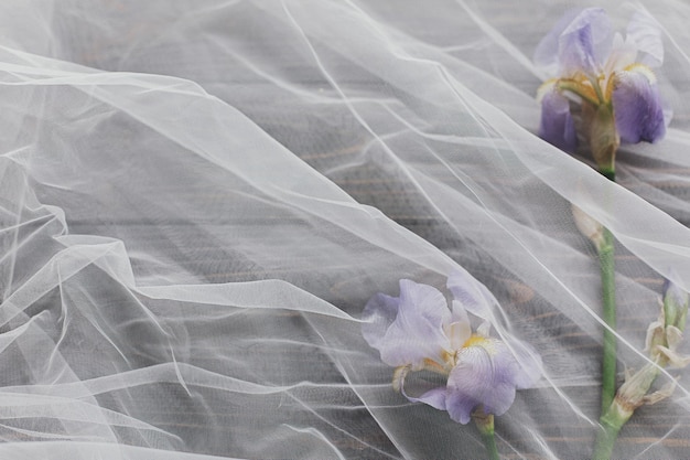 Foto mooie tedere irisbloem onder tule stof op donkere houten kopieerruimte lente-esthetiek