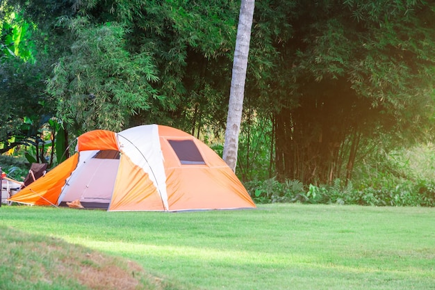 Mooie tenten in de prachtige natuur tussen de bomen en groene grasvelden voor ontspannende vakanties en ecotoerisme
