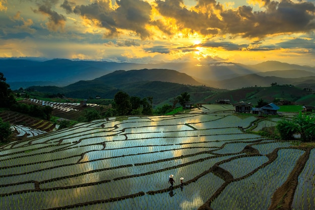 Mooie terraspadievelden op de achtergrond van Mae chaem Chaing Mai Thailand