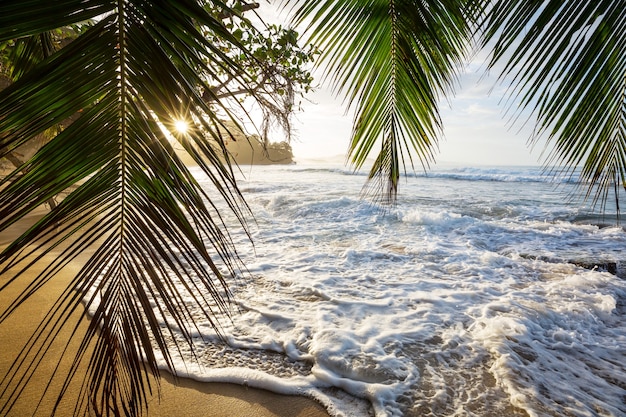 Mooie tropische kust van de Stille Oceaan in Costa Rica