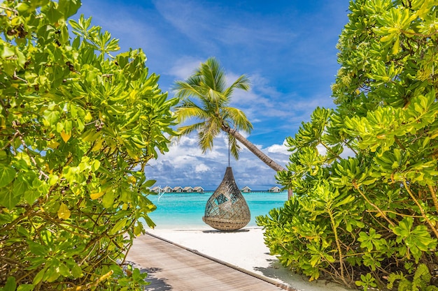 Mooie tropische Malediven strand zonnige hemel met schommel op kokospalm Luxe reislandschap