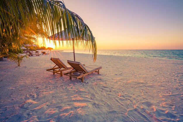 Mooie tropische zonsondergang paar ligbedden, ligstoelen, paraplu onder palmboombladeren wit zand, zee