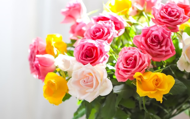 Mooie tuin roze bloemen helder boeket