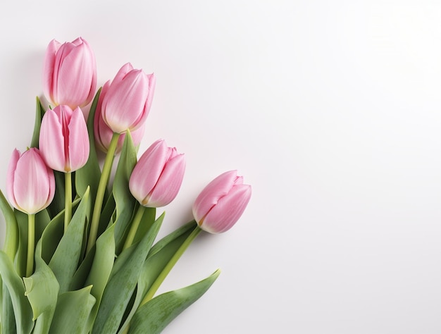 Mooie tulp bloemen met kopie Ruimte achtergrond bovenaanzicht Ruimte voor tekst