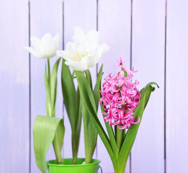 Foto mooie tulpen en hyacintbloem op houten achtergrond