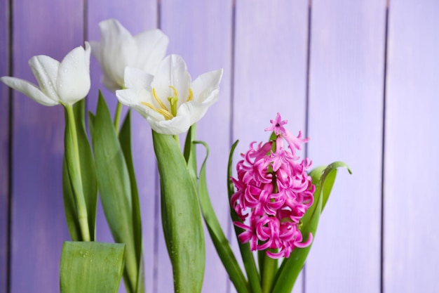 Mooie tulpen en hyacintbloem op houten achtergrond