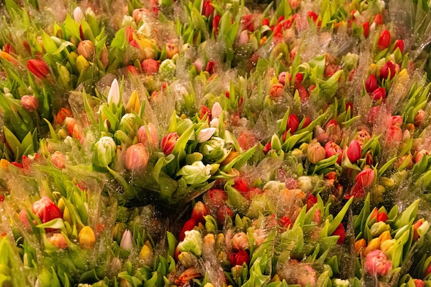 Mooie tulpen in een markt