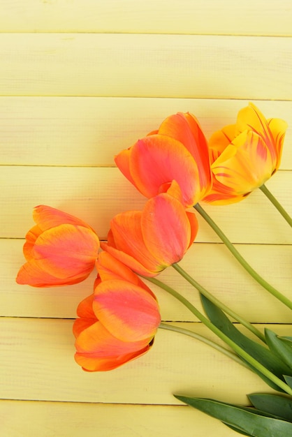 Mooie tulpen in emmer op tafel close-up