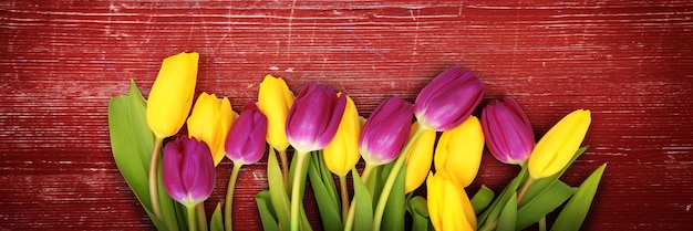 Mooie tulpen Lente natuur achtergrond voor webbanner en kaartontwerp