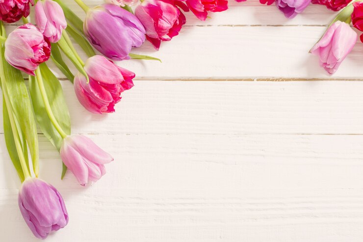 Foto mooie tulpen op witte houten