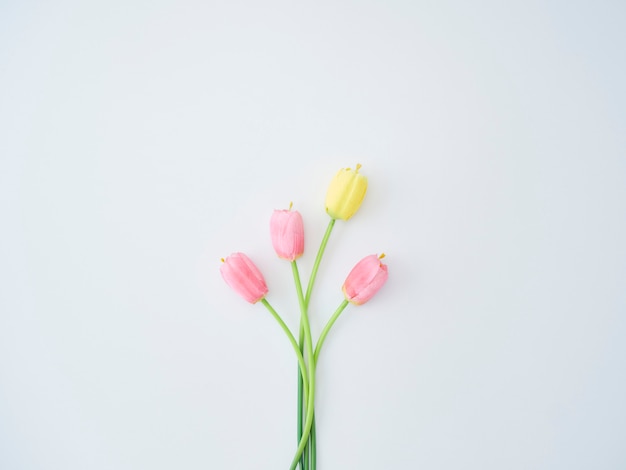 Mooie tulpen op witte tafel