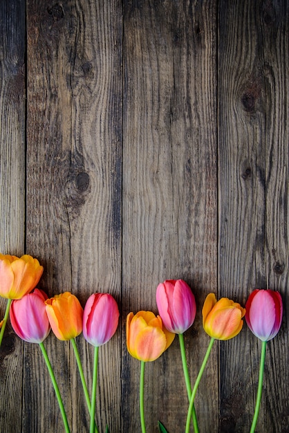 Mooie tulpen van delicate roze en oranje kleur op een houten rustiek oppervlak