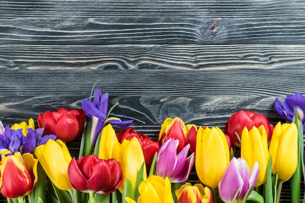 Mooie tulpenbloemen op houten muur