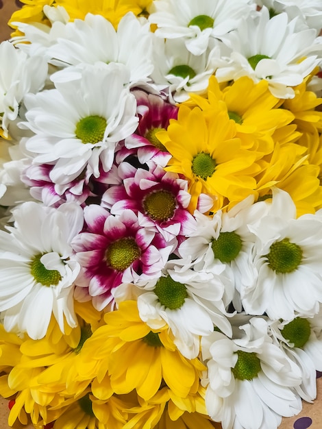 Mooie verschillende chrysantenbloemen. Natuur Autumn Floral muur. Chrysanten bloeien seizoen. Veel Chrysanthemum bloemen groeien in potten te koop in de bloemist