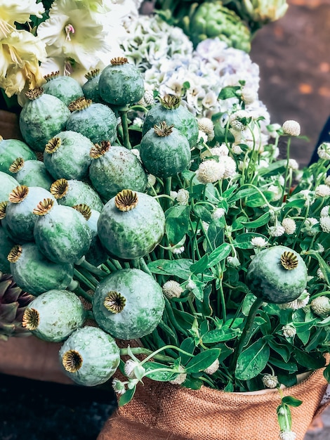 Mooie verse decoratieve reuzenpapaverkoppen en andere bloemen in kleine bloemenwinkel.