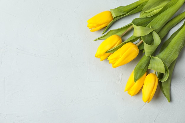 Mooie verse gele tulpen op grijs, bovenaanzicht. Ruimte voor tekst