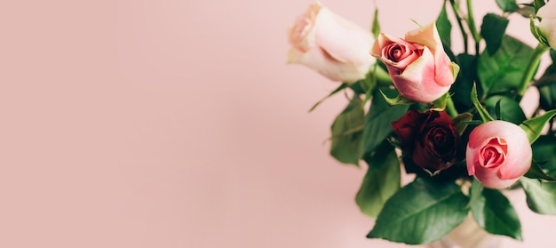Mooie verse rozenclose-up op een pastelroze natuurlijke achtergrond als achtergrond
