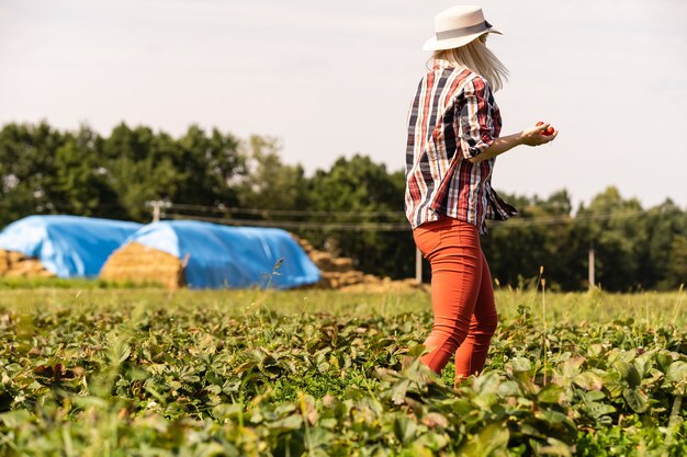 Mooie vrouw die een aardbei eet terwijl ze aardbeien verzamelt op een boerderij