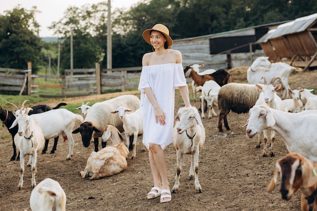 Mooie vrouw en witte jurk en in een beige hoed onder geiten op een eco-boerderij