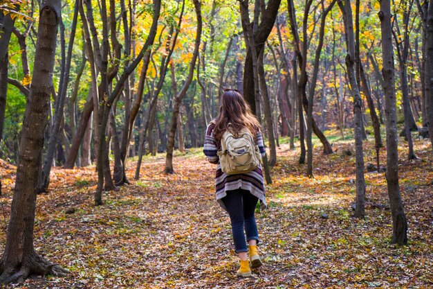 Foto mooie vrouw in de herfst en de herfst bos en wilde herfst boom met gele en rode bladeren