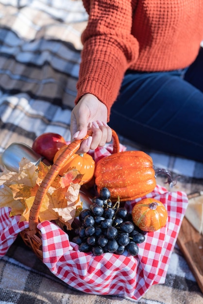 Mooie vrouw in rode trui op een picknick in een herfstbos