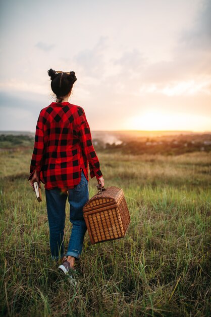 Mooie vrouw met mand, picknick in de zomer veld