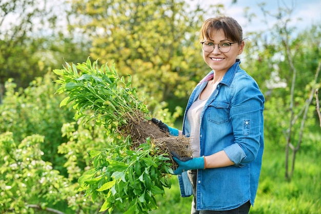 Mooie vrouw van middelbare leeftijd met gewortelde phlox paniculata plant camera kijken