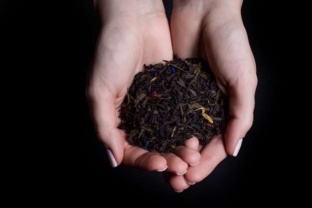 Mooie vrouwelijke handen houden rauwe ongebrouwen thee vast en bieden aan om het te proberen Droog theeblad in de hand Thee met bergamot-additieven geïsoleerd op zwart