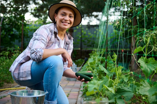 Mooie vrouwelijke tuinman glimlacht terwijl hij naar de camera kijkt terwijl hij rijpe komkommers oogst die in de biologische moestuin worden gekweekt