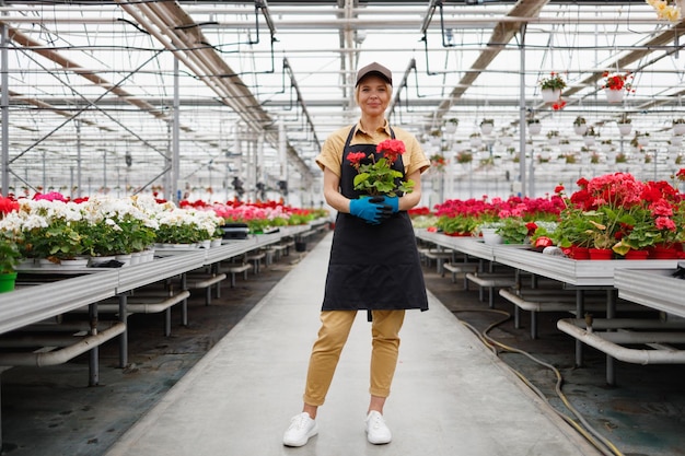 Mooie vrouwelijke tuinman met potplant in kas