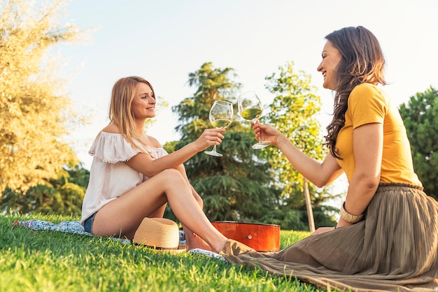 Mooie vrouwen die wijn drinken in het park. Vrienden en zomer concept.