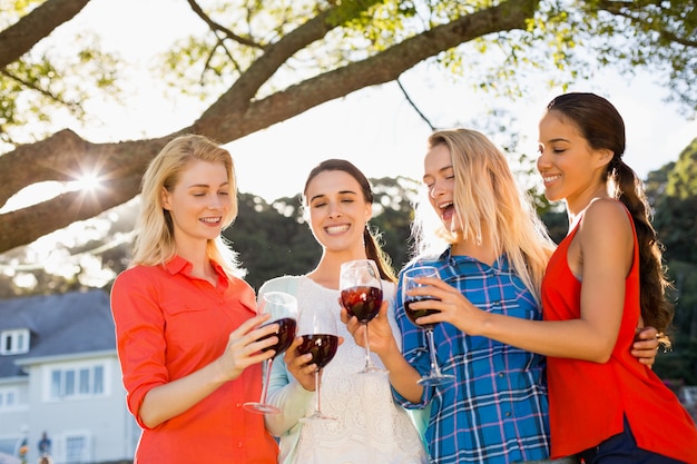 Mooie vrouwen roosteren glazen rode wijn