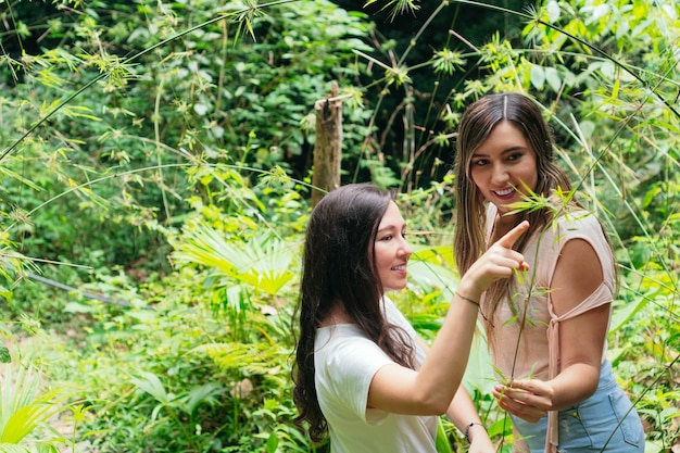 Mooie vrouwen wandelen in het regenwoud in Colombia