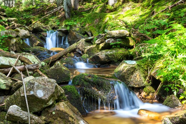 Mooie waterval in het groene bos. Cascade van bewegingswater