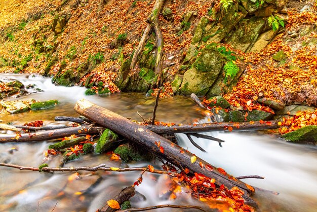 Mooie waterval Shipot close-up in het herfstbos