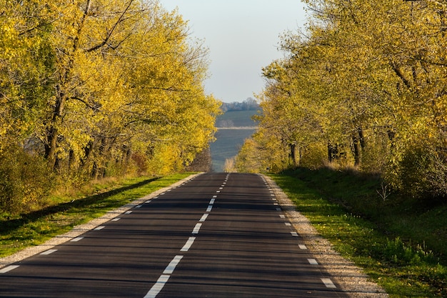 Mooie weg in de prachtige bomen Een landweg in de herfst Herfst in het park Lege racebaan