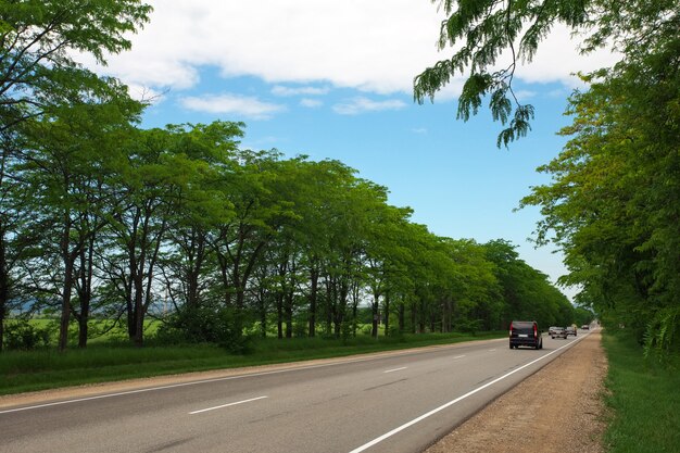 Mooie weg tussen bomen. Bewegende auto's. Zomer reizen