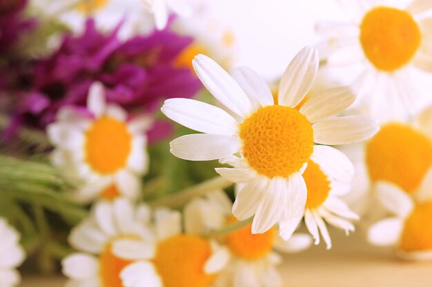 Mooie wilde bloemen close-up