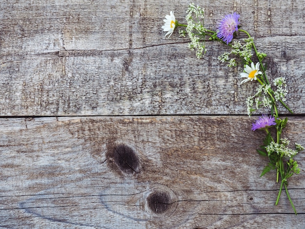 Mooie wilde bloemen liggend op een houten achtergrond