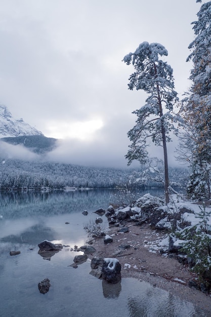 mooie winters tafereel aan het duitse meer in de alpen