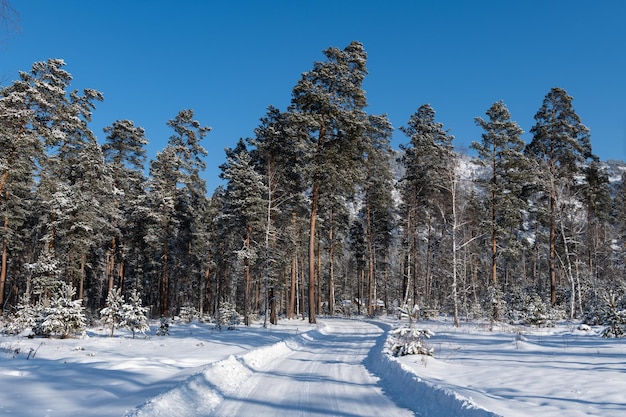 Mooie winterweg op zonnige dag